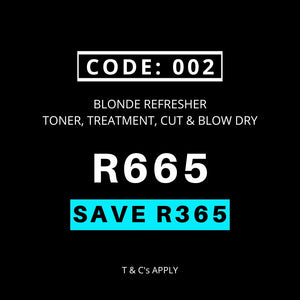 Black Friday Code 002 - Blonde Refresher Toner Treatment Cut & Blow Wave