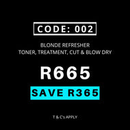 Black Friday Code 002 - Blonde Refresher Toner Treatment Cut & Blow Wave