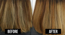 Load image into Gallery viewer, Argan Oil Shampoo Before After from Salon 33 Hair Co
